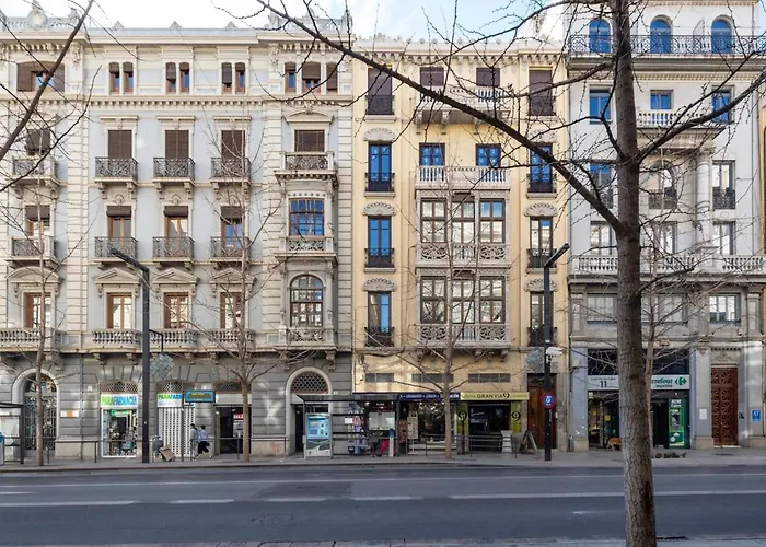 公寓 Bright And Elegant Gran Via